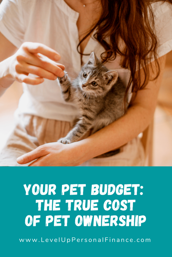 How Much Do Pets Cost? Breaking Down The True Cost Of Pet Ownership